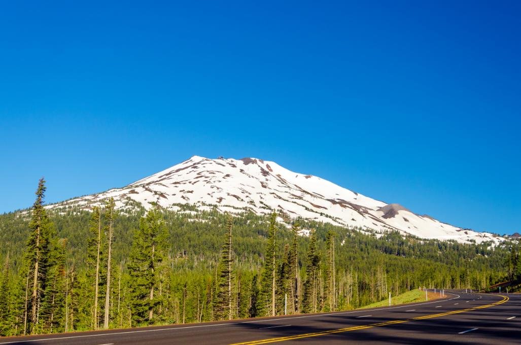 a-highway-leading-through-a-forest-passing-next-to-2026-03-26-08-35-53-utc