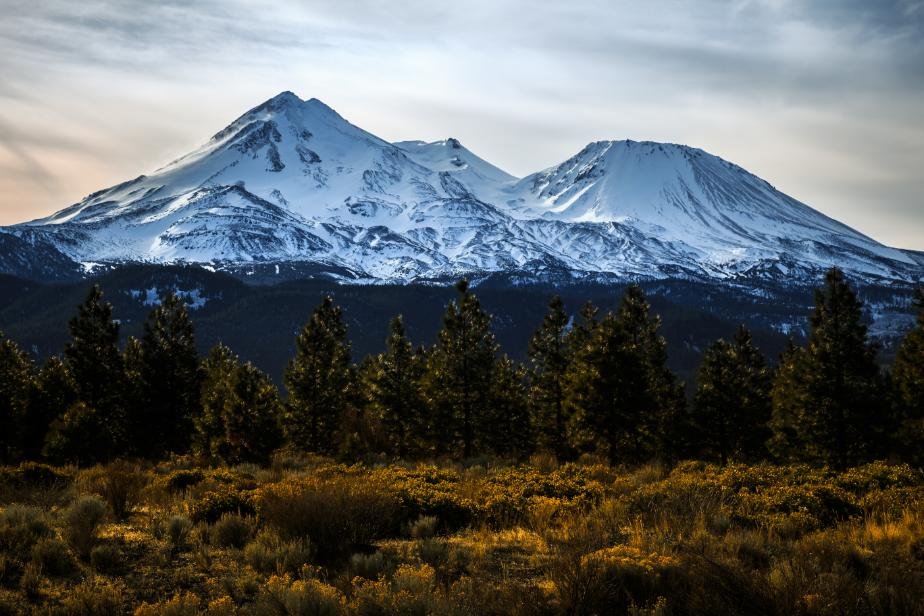 forest-mount-shasta-california-2026-04-14-01-33-01-utc