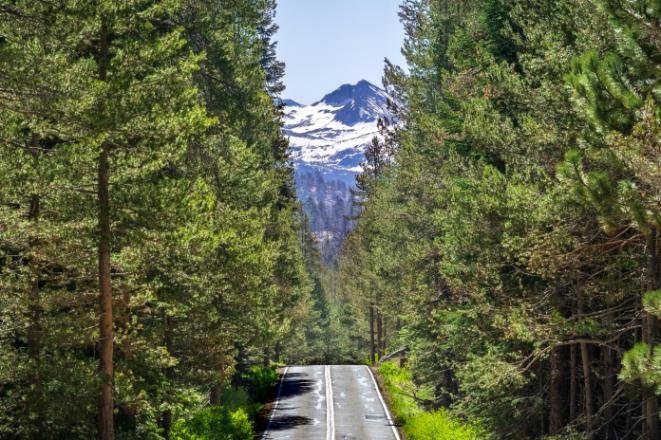 road-in-yosemite-park-2026-03-16-03-25-31-utc